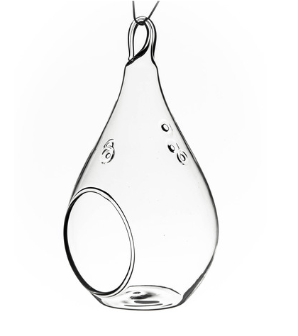 Hanging Glass Terrarium