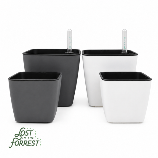 Self-Watering Pot with Water Level Indicator