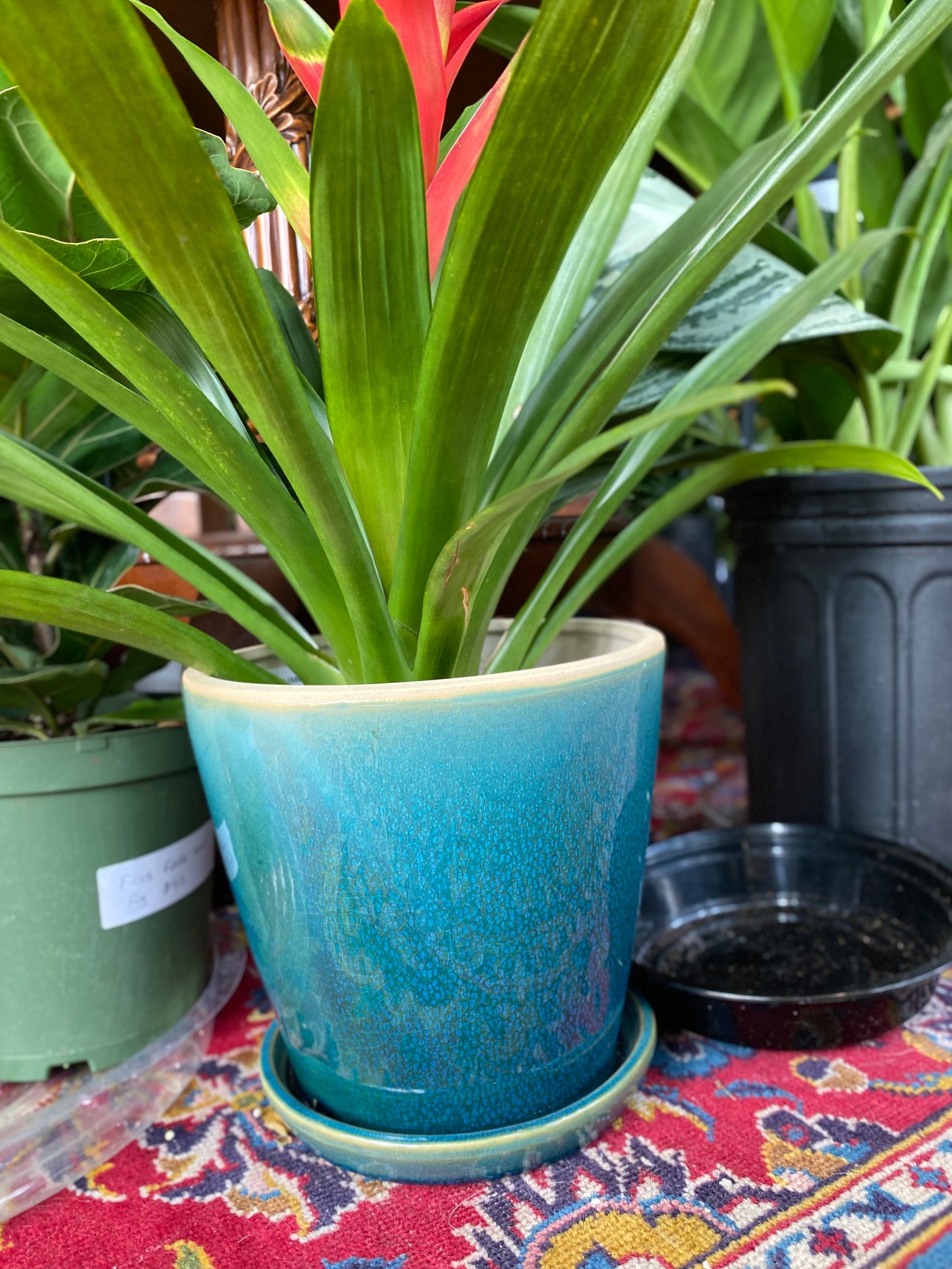 Ceramic Planter Pot with Attached Saucer