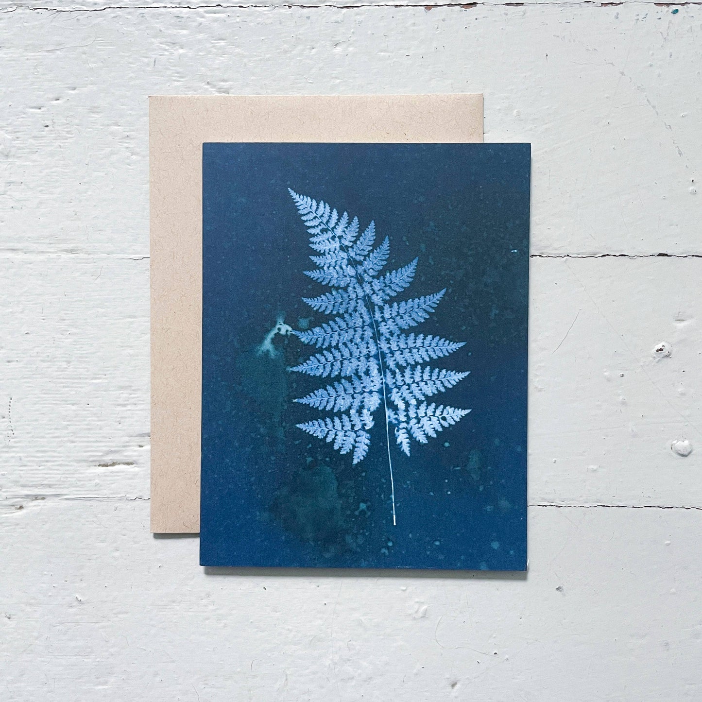 Slow Mornings | Botanical Cyanotype Greeting Cards Boxed Set