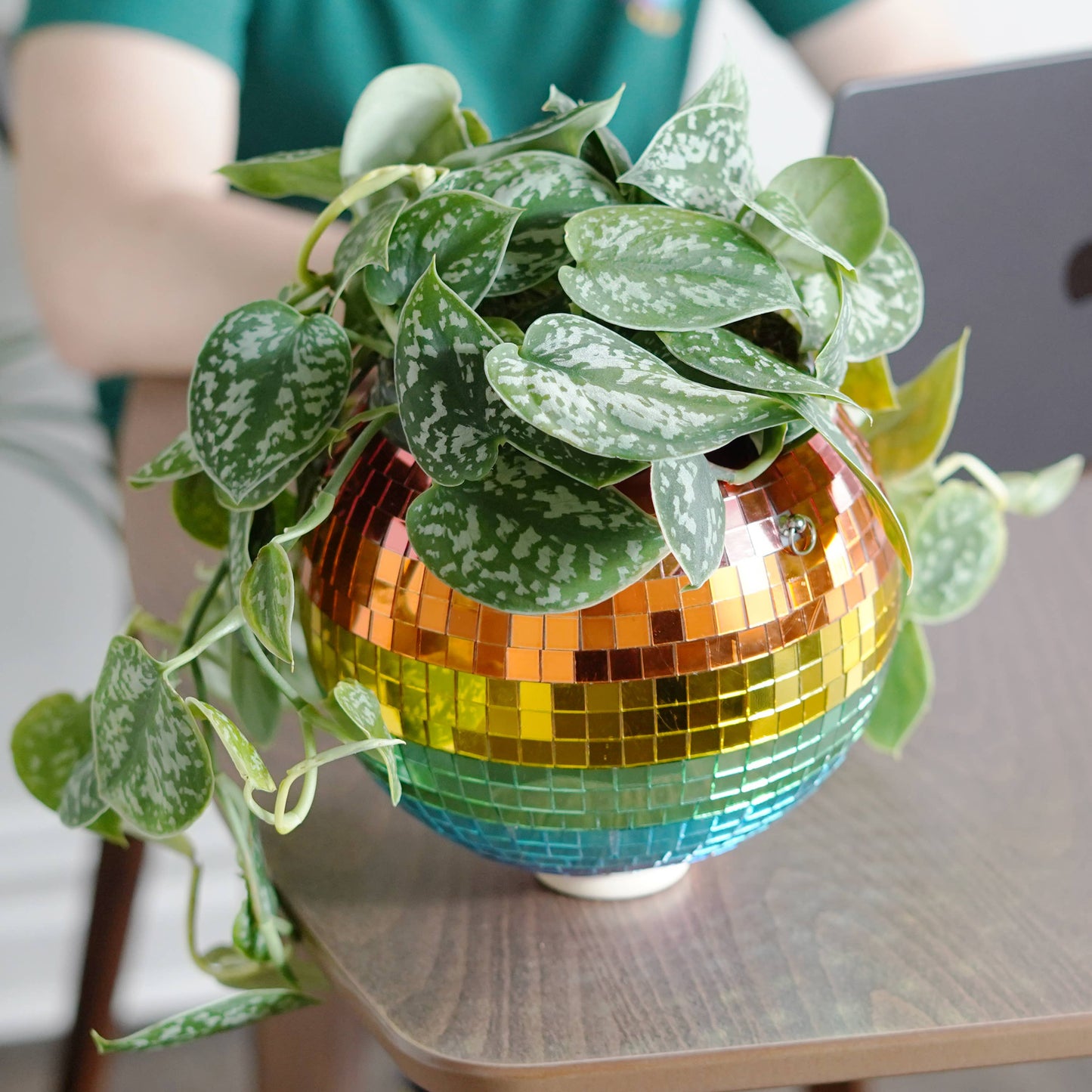 Rainbow Disco Ball Hanging Planter