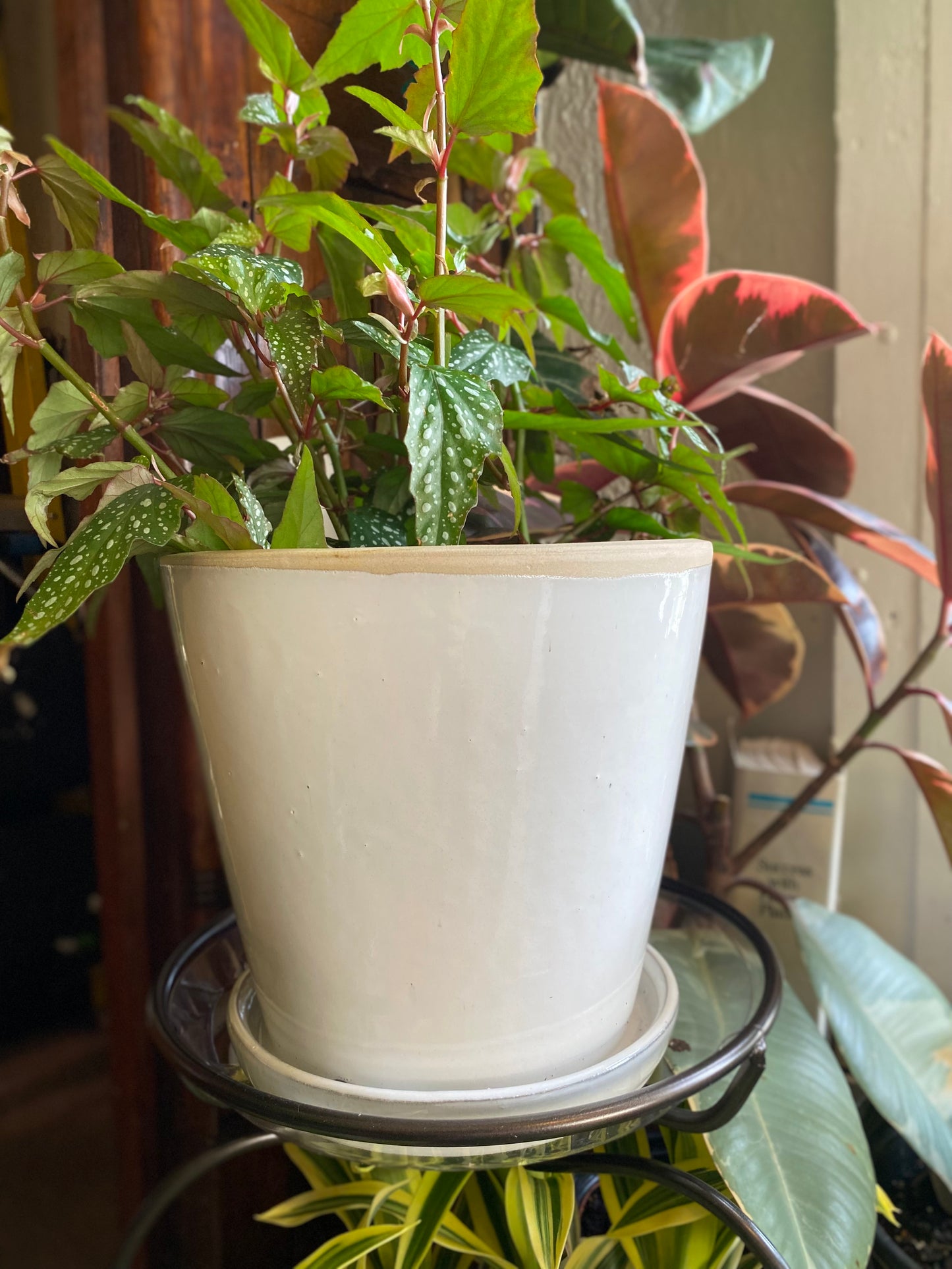 Ceramic Planter Pot with Attached Saucer