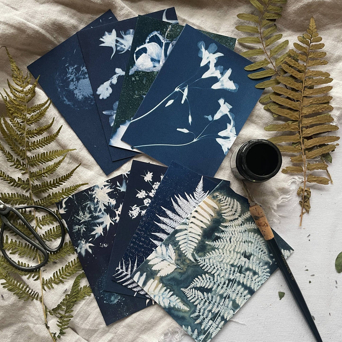 Under the Sun | Botanical Cyanotype Greeting Cards Boxed Set
