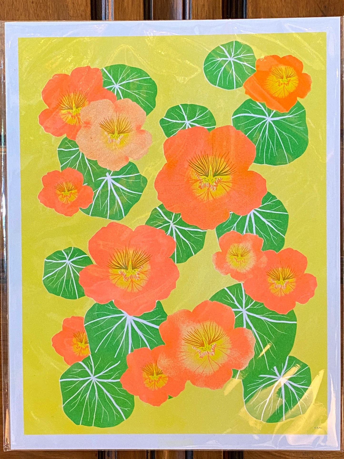 Risograph Prints by StitchPrism