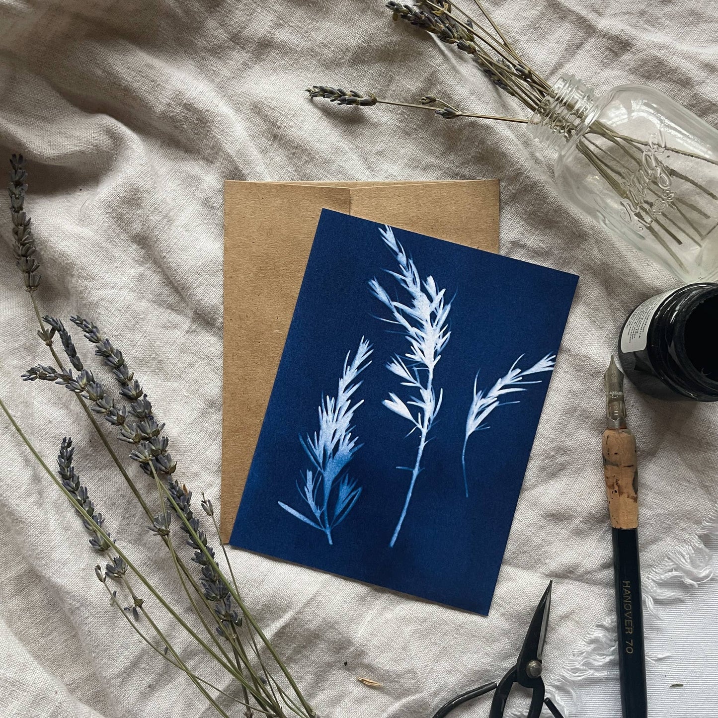Herbs | Botanical Cyanotype Greeting Cards Boxed Set