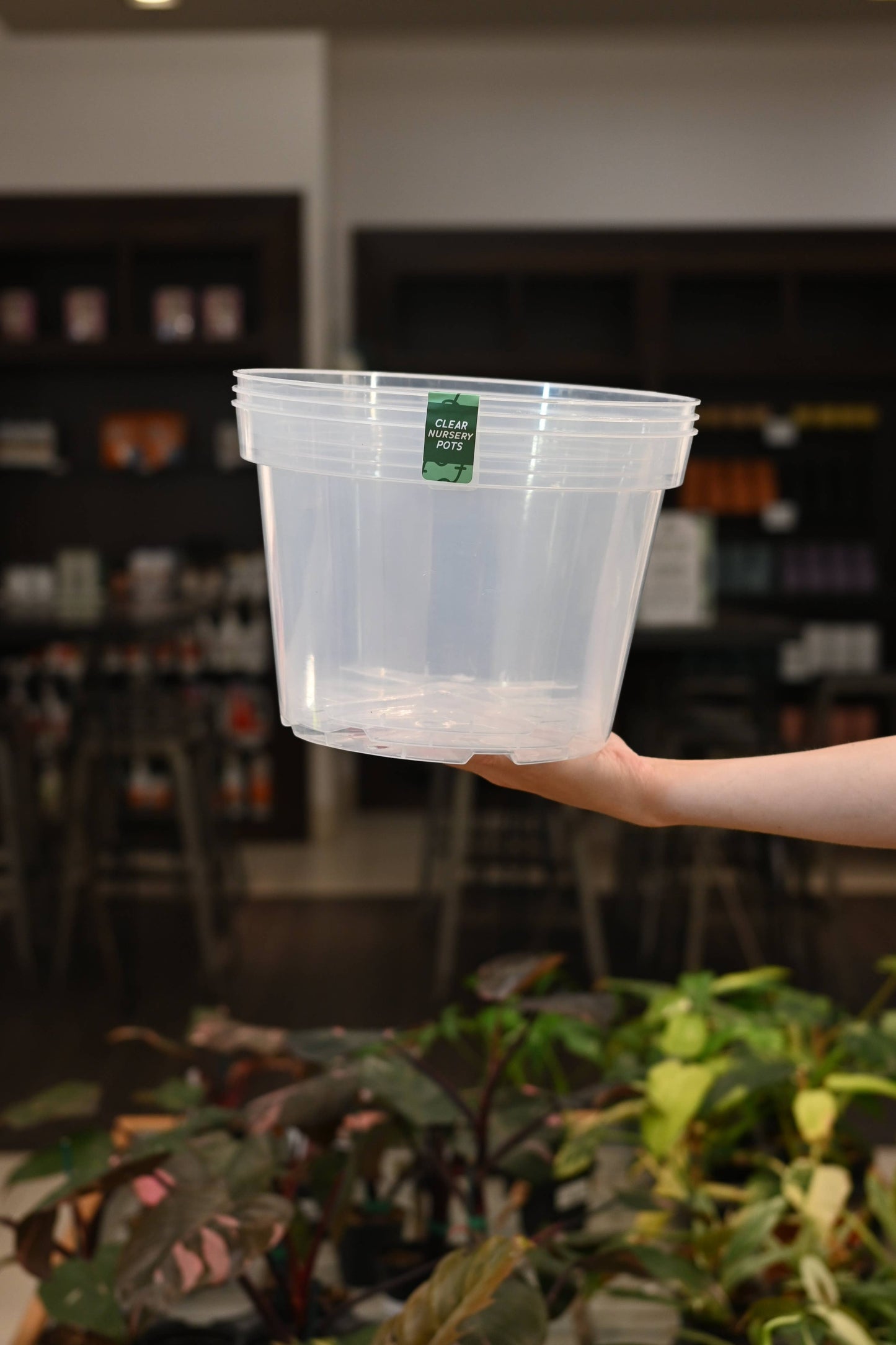 Clear Nursery Pots