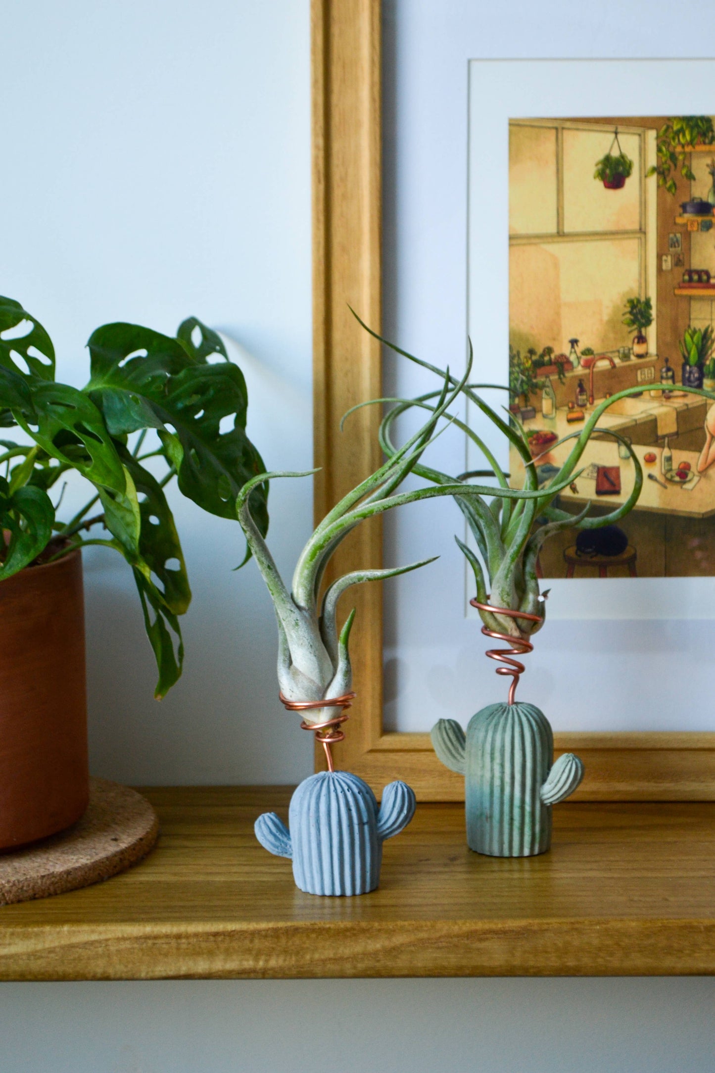 Mini Cactus Air Plant Holder