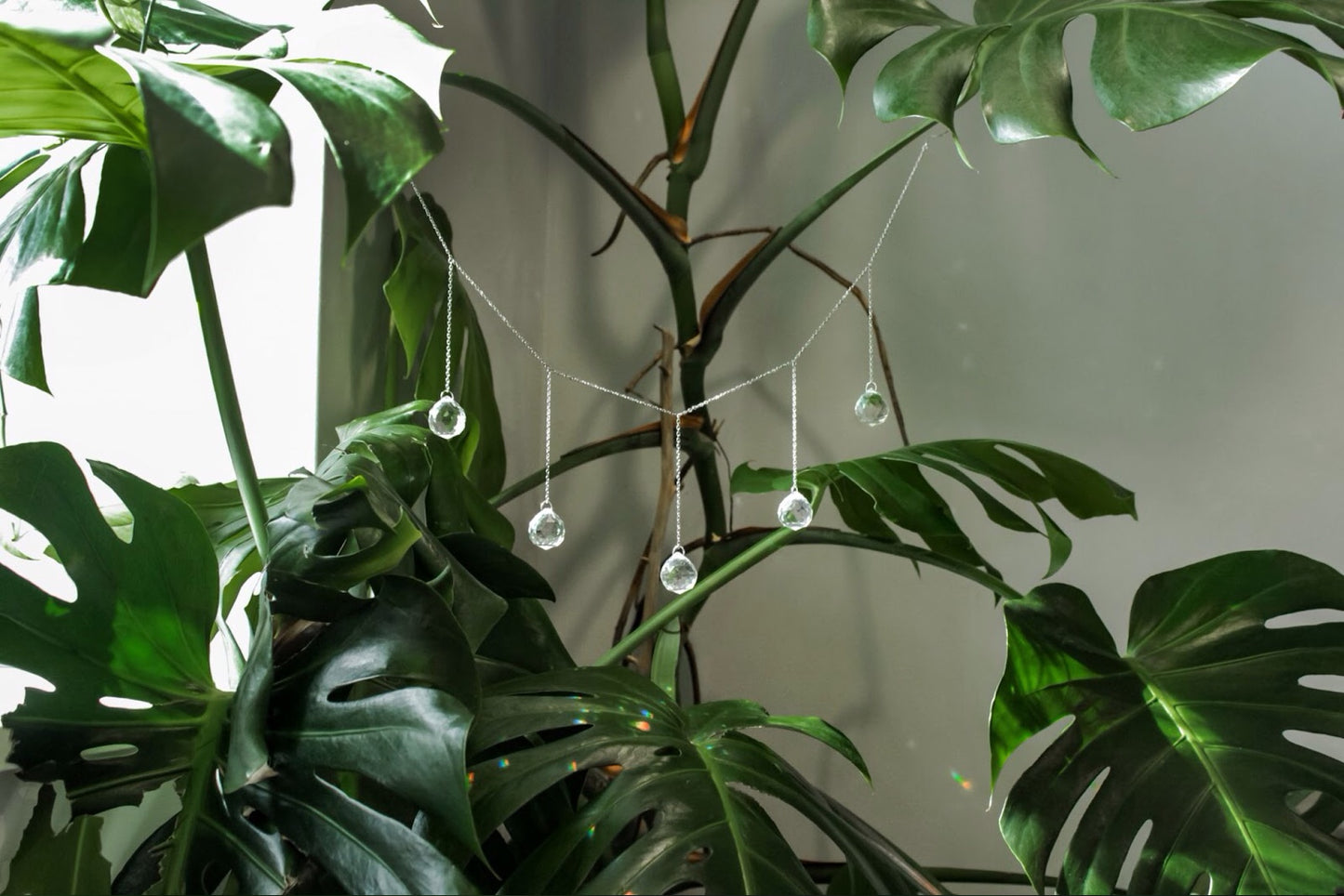 Suncatchers and Plant Charms by Cosmic Crow