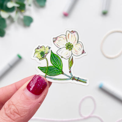 Dogwood flower