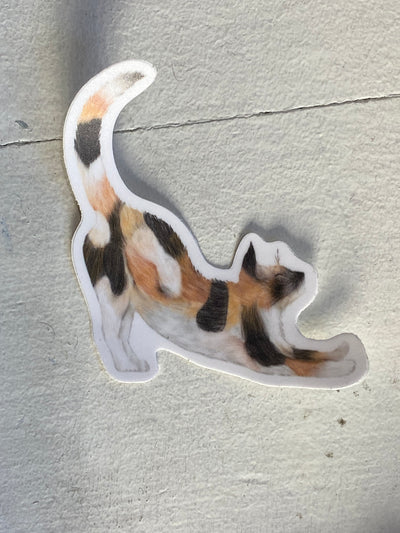 Stretching Cat (Calico)