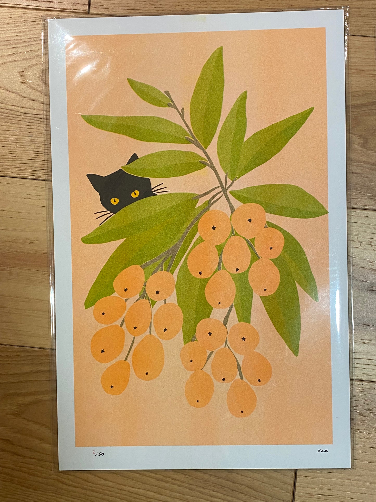 Stitch Prism Risograph Prints