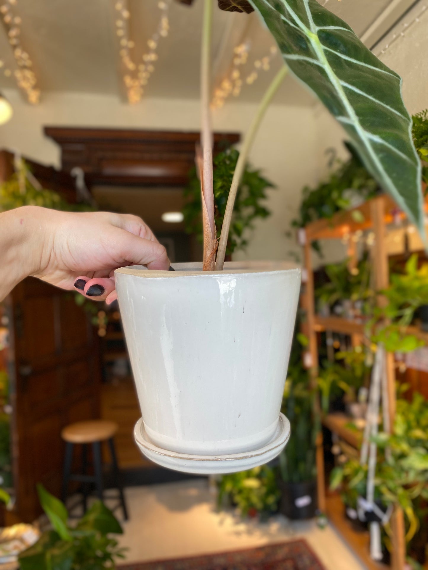 Ceramic Planter Pot with Attached Saucer