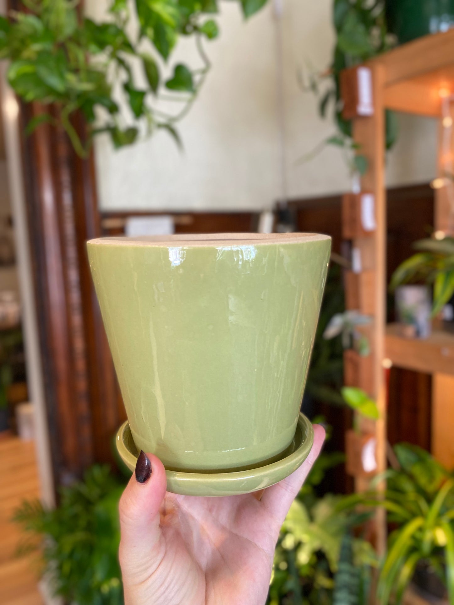 Ceramic Planter Pot with Attached Saucer