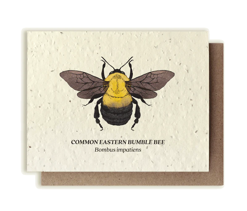 Plantable Wildflower Seed Card by Small Victories