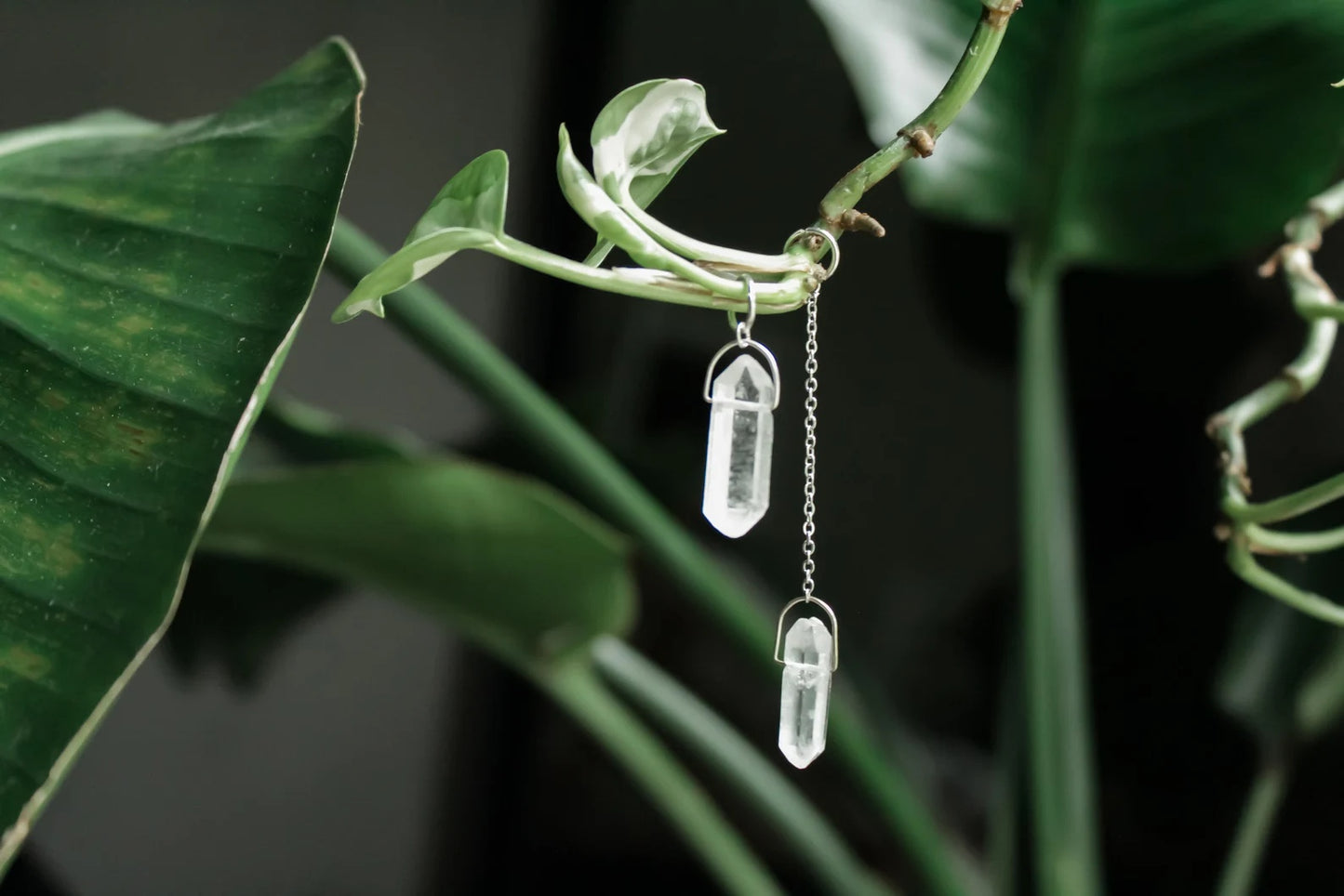 Suncatchers and Plant Charms by Cosmic Crow