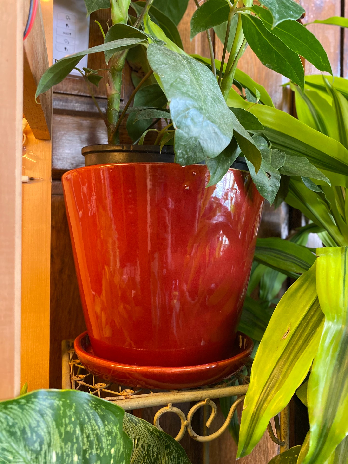 Ceramic Planter Pot with Attached Saucer