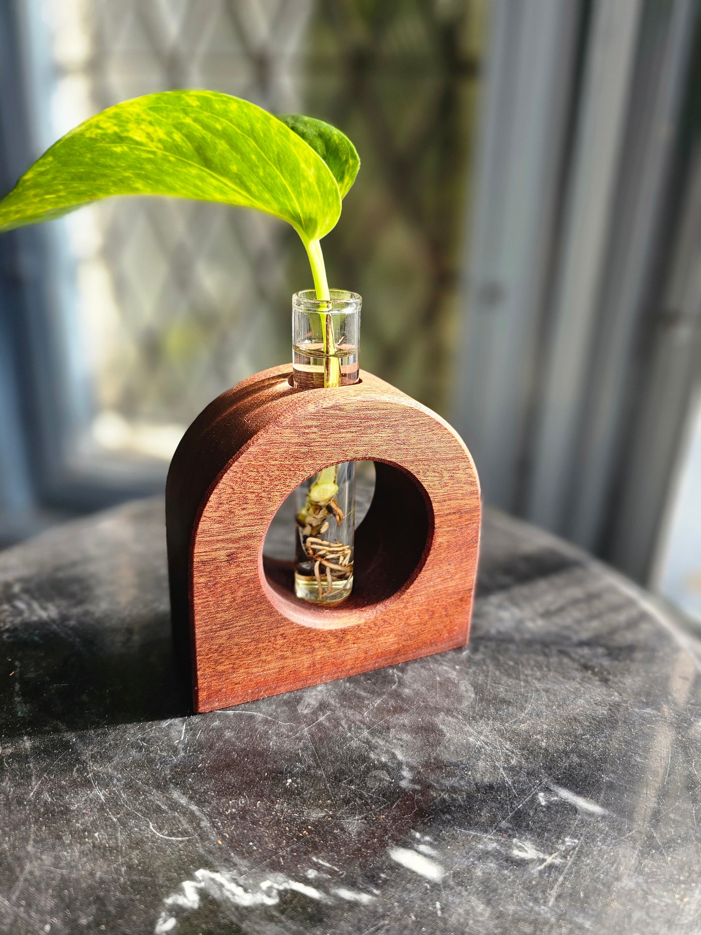 Lampshire Designs