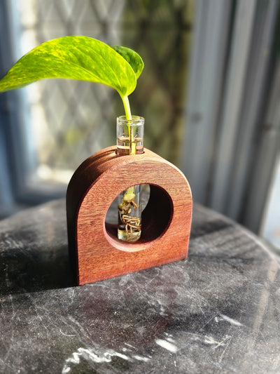 Crescent (Walnut)