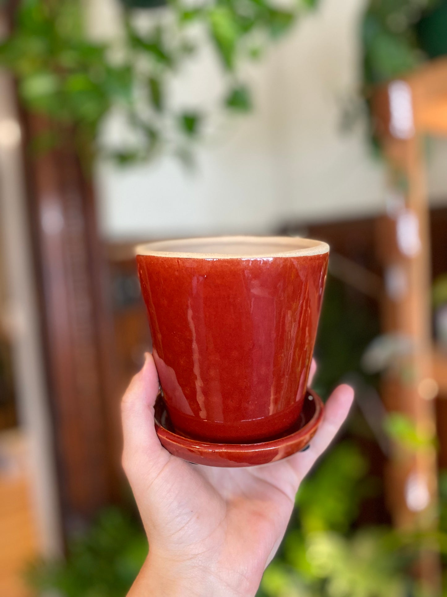 Ceramic Planter Pot with Attached Saucer