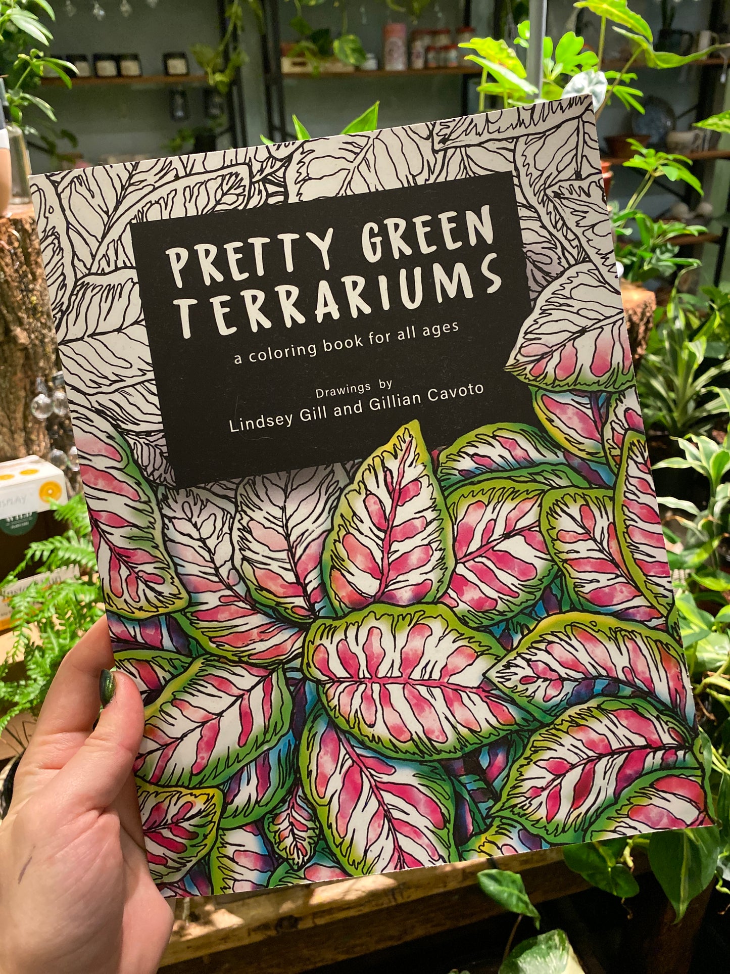 Pretty Green Terrariums Coloring Book by Lindsey Gill