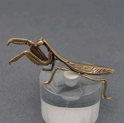 Praying Mantis