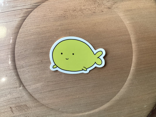 Randu Magnets