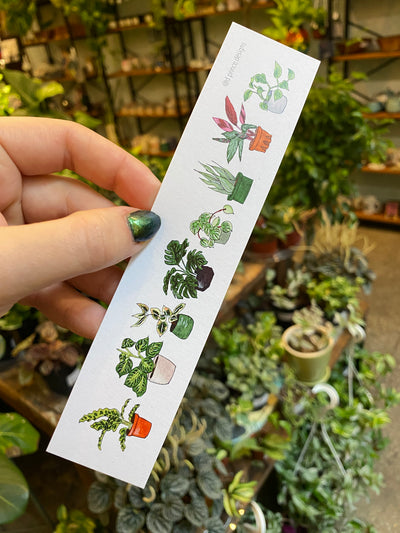 Plants