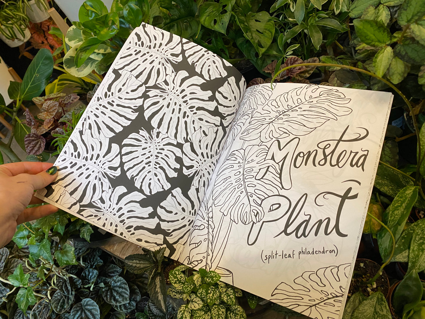 Pretty Green Terrariums Coloring Book by Lindsey Gill