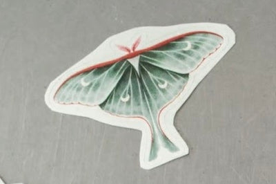 Luna Moth