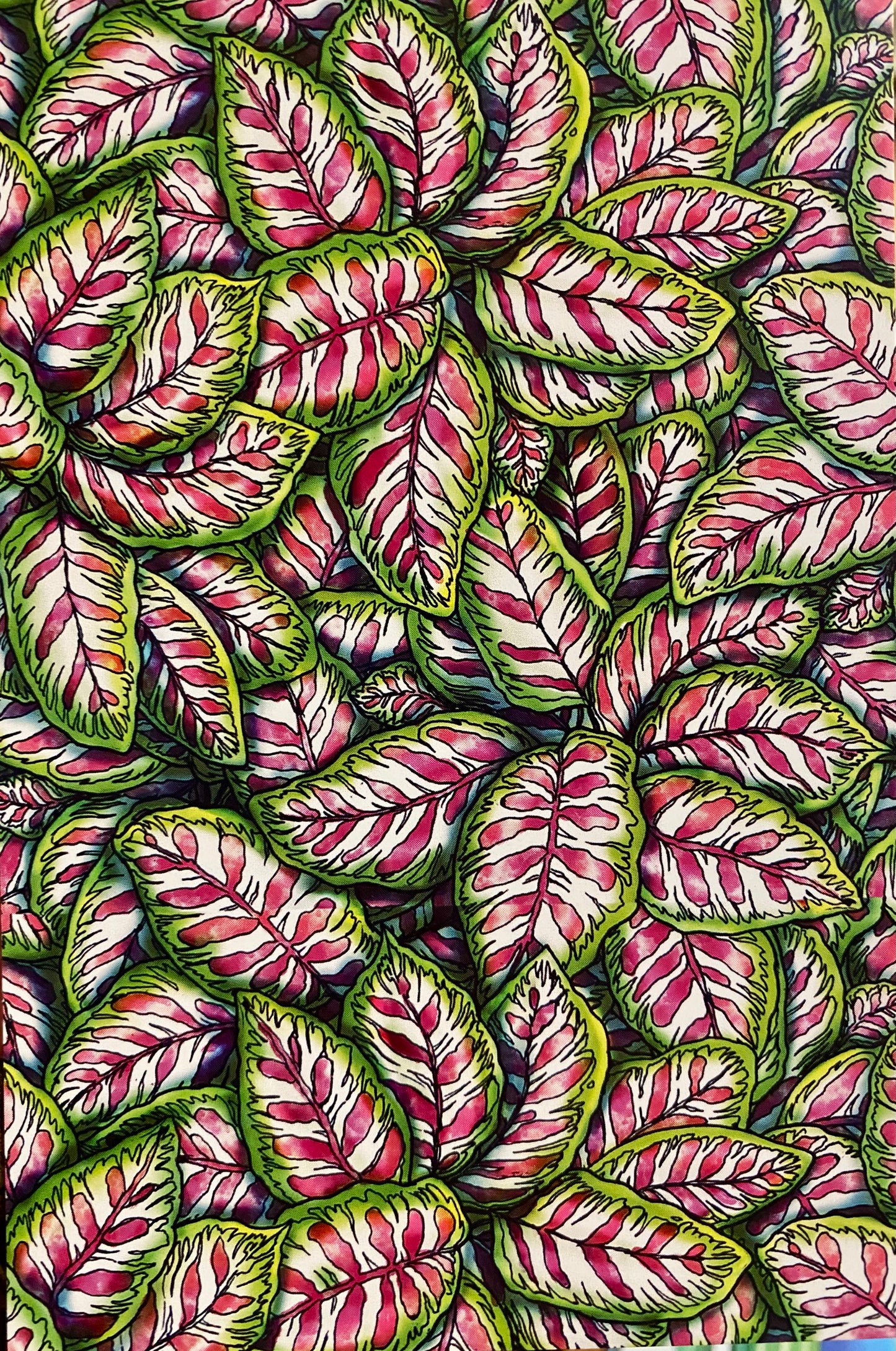 Lindsey Gill Postcards