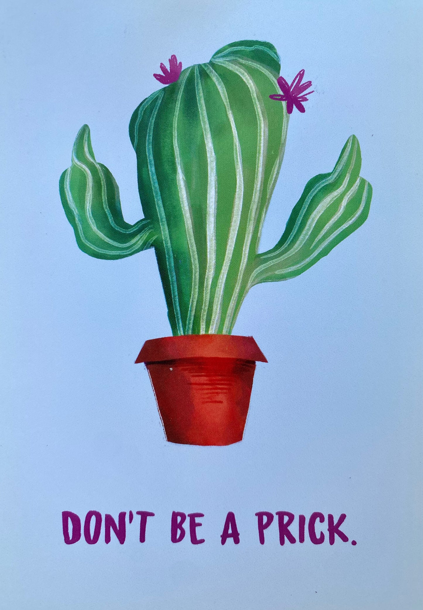 Lindsey Gill Postcards
