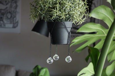 Suncatcher Pot-hanger