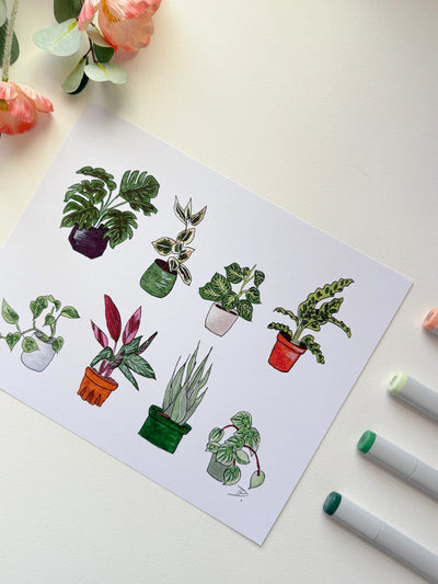 Houseplants / 5x7