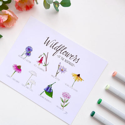 Wildflowers of the Northeast / 8x10