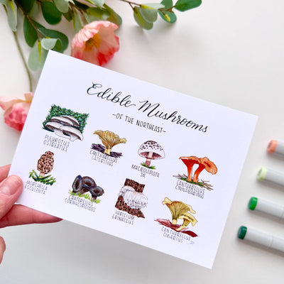 Edible Mushrooms / 8x10
