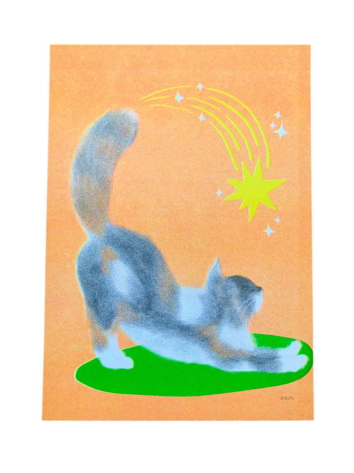 Stitch Prism Risograph Prints