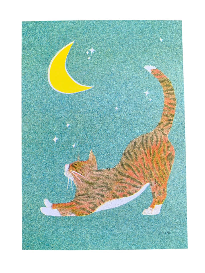 Stitch Prism Risograph Prints