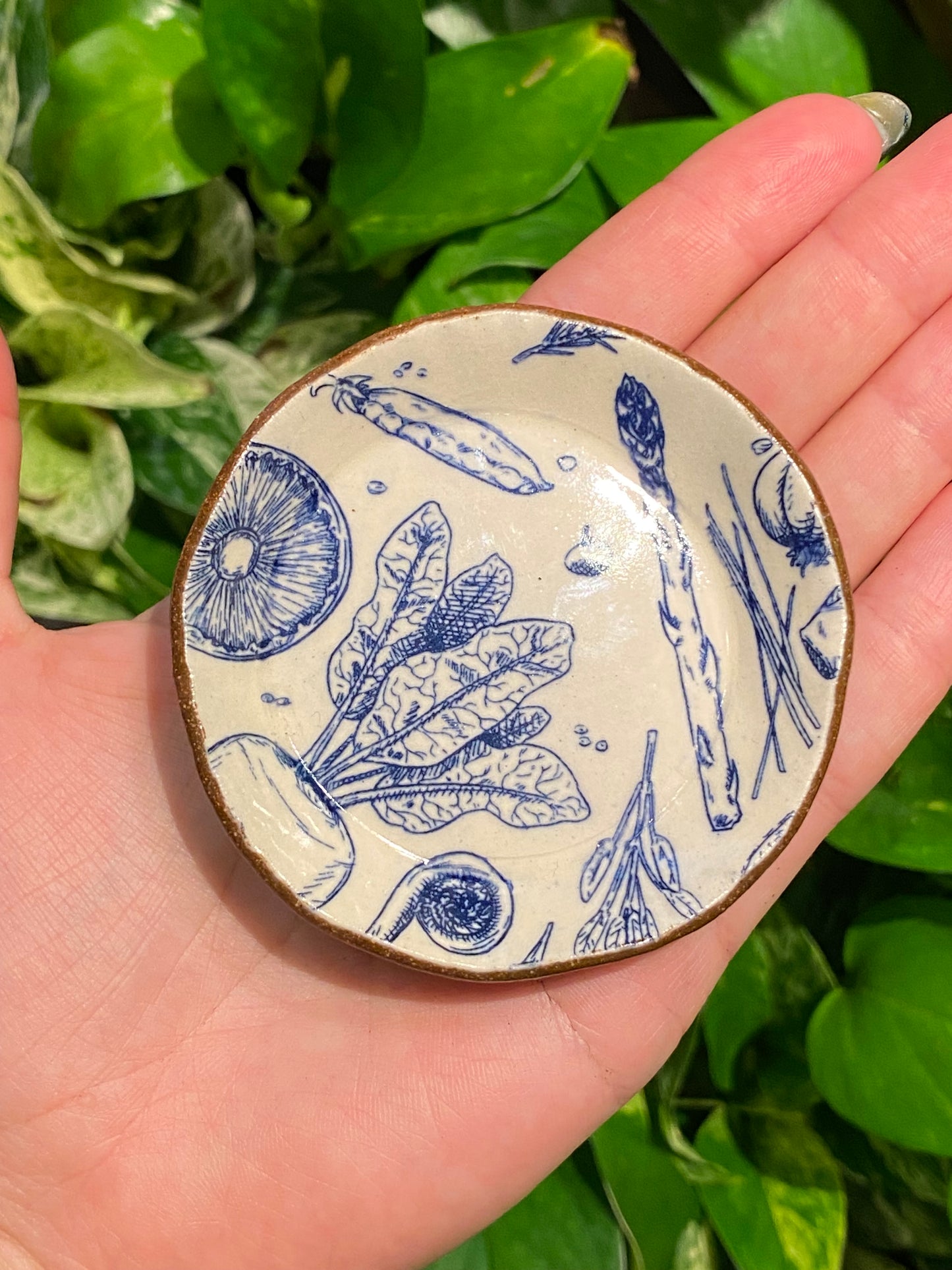 Ian Petrie Ceramics