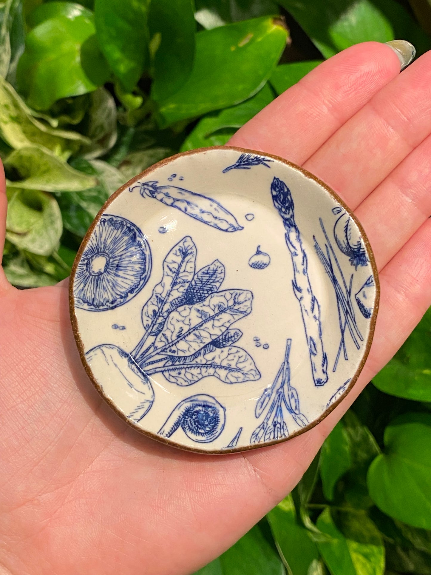 Ian Petrie Ceramics