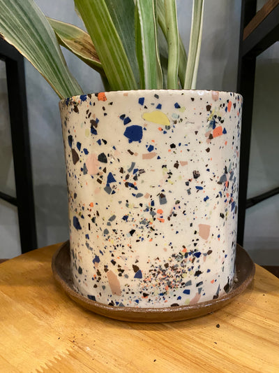 Collage Planter 6”
