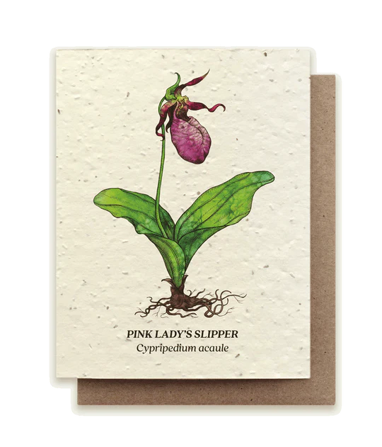 Pink Lady's Slipper Plantable Wildflower Seed Card by Small Victories
