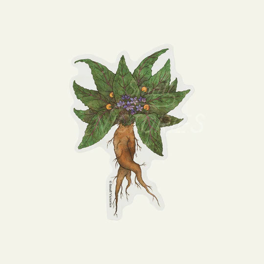 Mandrake Sticker by Small Victories