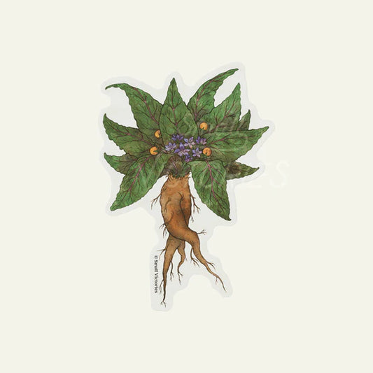 Mandrake Sticker by Small Victories