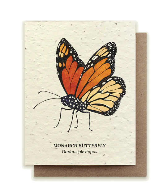 Monarch Butterfly Wildflower Seed Card