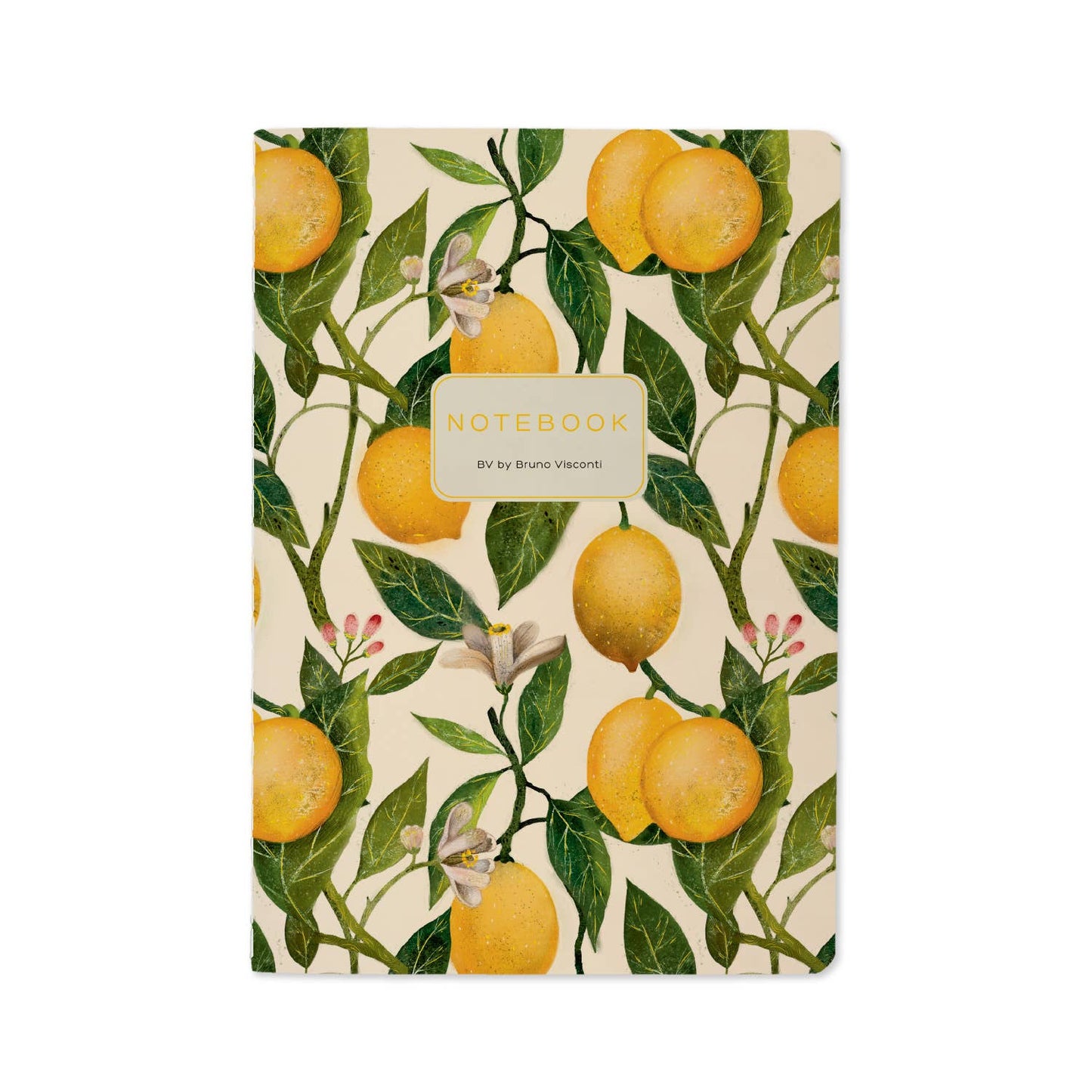 Journals and Notebooks by Bruno Visconti