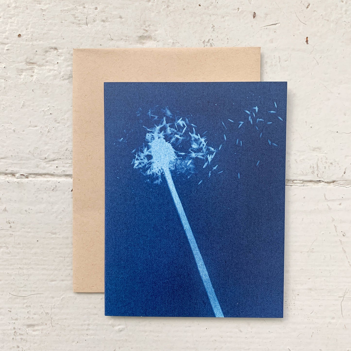 Under the Sun | Botanical Cyanotype Greeting Cards Boxed Set