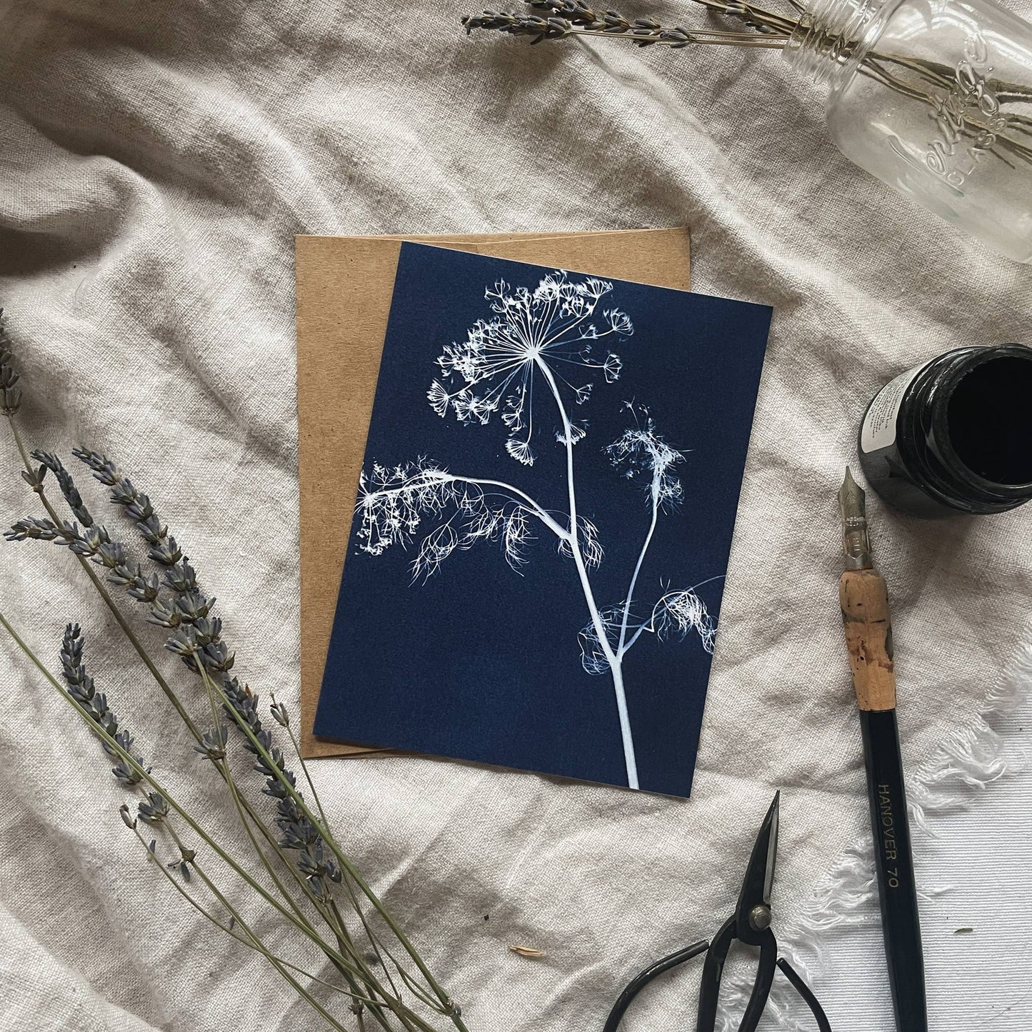 Herbs | Botanical Cyanotype Greeting Cards Boxed Set