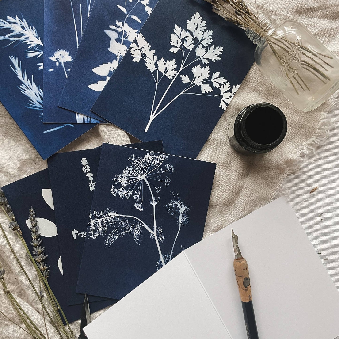 Herbs | Botanical Cyanotype Greeting Cards Boxed Set