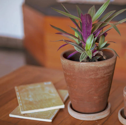 Concrete-washed Terracotta Planter 6” (Medium)