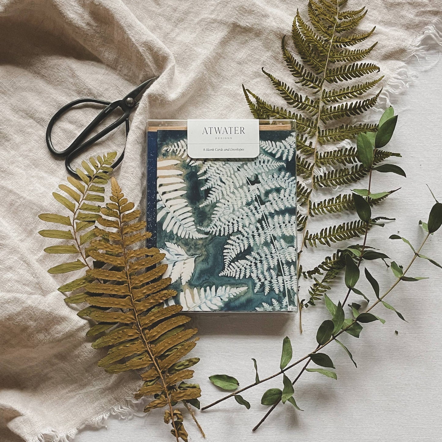Under the Sun | Botanical Cyanotype Greeting Cards Boxed Set
